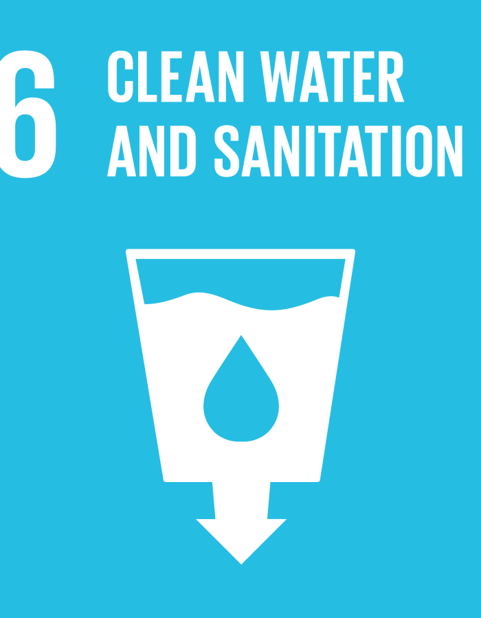 sdg6