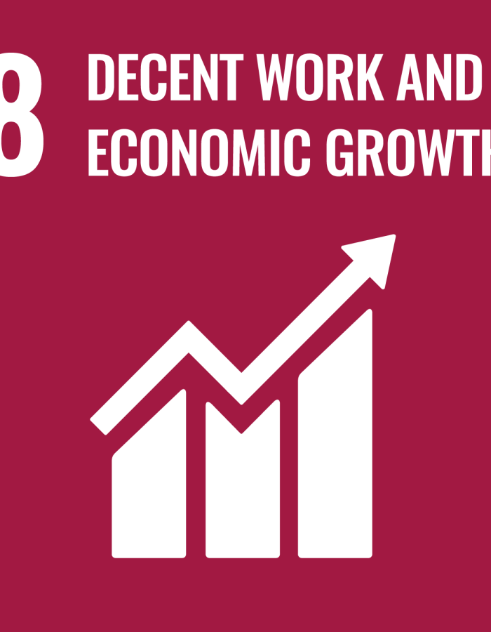sdg8-en